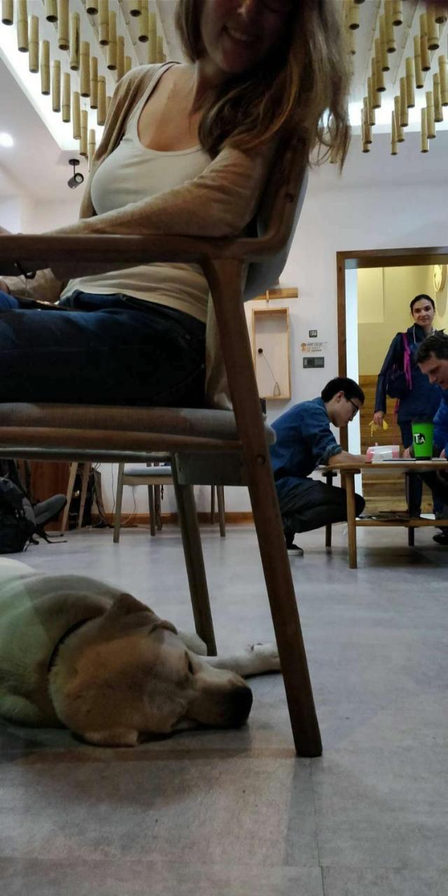 Wally House青山惠风民宿 Zhangjiajie Luaran gambar